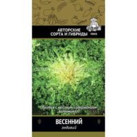 Эндивий Весенний