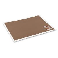 Картон художественный Canson "Mi-Teintes Touch" 50х65 см 355 г №133 сепия