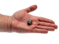 Бусина для темляка Бочка, бронза