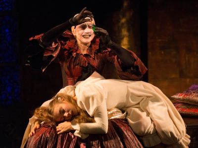 Билеты на Огниво (Ведогонь-театр (Зеленоград)) / Театр | Афиша | ИнфоТаймс