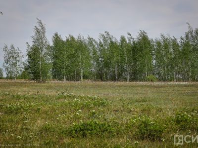 Искусственные дожди помогли улучшить травостой в ряде районов Якутии