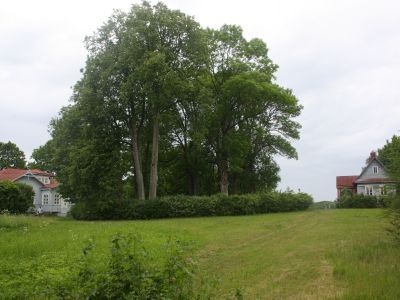 Усадьба Любанск, где в 1907-1908 гг. жил и работал и умер в ночь с 7 на 8 июня 1908 г. композитор Римский-Корсаков Николай Андреевич