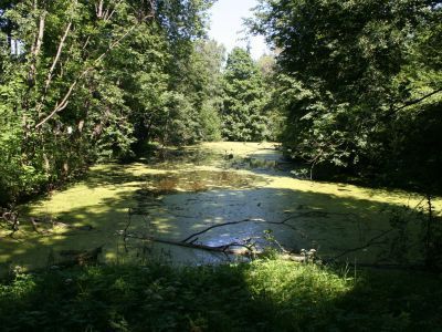 Парк с тремя прудами и плотиной