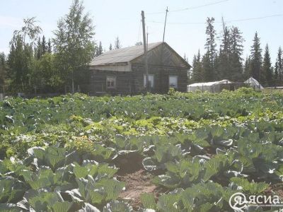 Половина дачных кооперативов Якутска не рассчитались за потребленную электроэнергию 