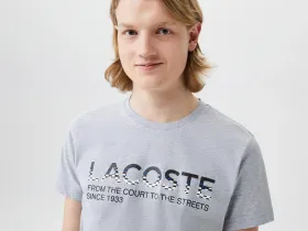 Мужская футболка Lacoste стандартного кроя