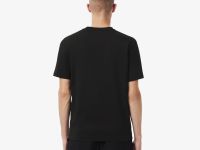 Мужская хлопковая футболка Lacoste колор-блок