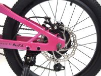 Детский велосипед Falcon Bike Mild 20, год 2024, цвет Серый