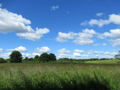 Усадьба Якимова. Парк