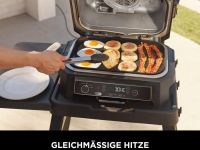 Ninja Пластина для гриля 45 х 31 см Woodfire XL Ninja