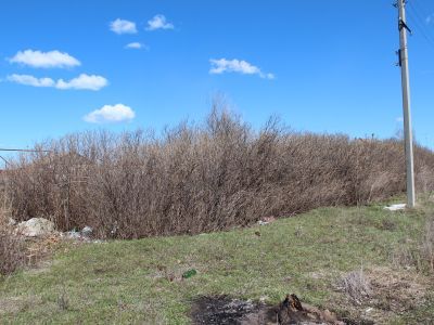 Школа, построенная и открытая по инициативе Ильи Николаевича Ульянова