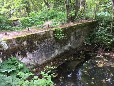 Мостик в Артемьевской части парка (№ 2)