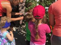 Шагаловский сельский дом культуры