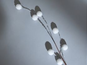 Ветвь Ramo di neve