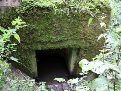 Памятник-дот, на рубеже обороны советских войск в 1941 г.