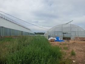 В Алданском районе открыли тепличный комплекс для выращивания хвойных саженцев