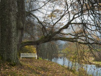 Парковый ансамбль