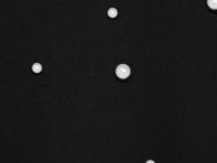 Свитшот с декоративными заклёпками, Черный