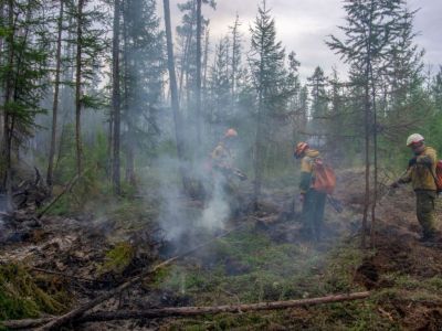 Лесной пожар ликвидирован