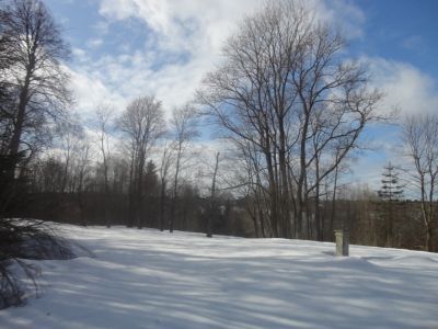 Усадьба Коковцева. Парк