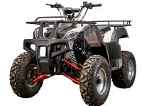 Квадроцикл YACOTA Sela 200