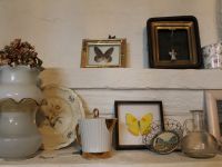 Центр культуры и искусства – дача «Чайка» художника В. К. Бялыницкого-Бируля