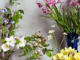 Якутянка создаёт из полимерной глины удивительно реалистичные цветы