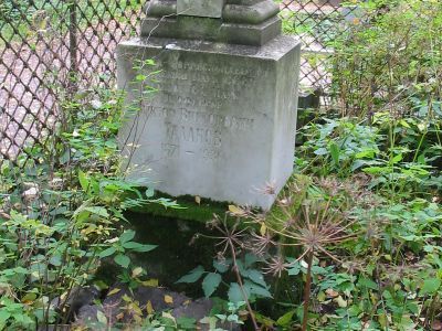 Могила Таланова В.В. (1871-1936), специалиста в области сельского хозяйства