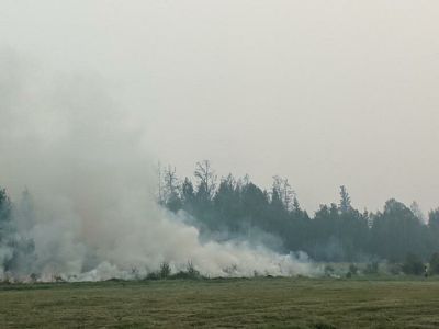 В Якутии лесной пожар в Чурапчинском улусе мешает ликвидировать сильный ветер