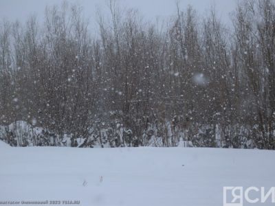 Водителей призвали воздержаться от поездок по трассе «Лена»