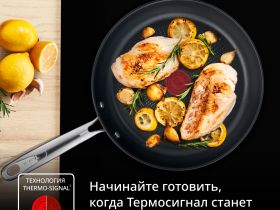Индукционная сковорода Tefal Duetto + frypan 28 см G7320655