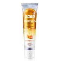 Антибактериальная зубная паста с экстрактом гинкго DC 2080 Gingivalis Propolis (желтая)