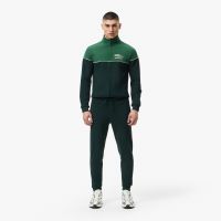 Мужские хлопковые спортивные брюки Lacoste приталенного кроя
