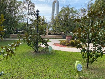 Поляна дружбы народов, первое дерево на которой посажено председателем Государственного совета ГДР О. Гротеволем