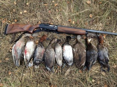 Вниманию охотников. Заявление о разрешении на охоту с 1 октября можно подать через портал госуслуг