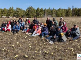 Весеннее пробуждение. Пешая экскурсия по Табагинскому Мысу