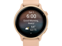 Смарт-часы Garmin VIVOACTIVE 6 (Pink) (010-02985-43)