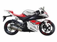 Мотоцикл MOTOLAND R1 250