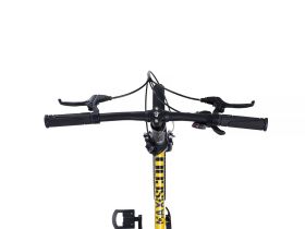 Детский велосипед Maxiscoo S009 20, год 2024, цвет Черный