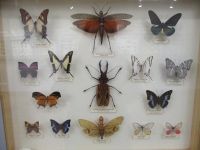 Отдел природы Костромского музея-заповедника