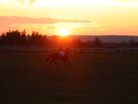 Стали известны победители конных скачек на призы главы Якутии