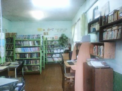 Рочевская библиотека-филиал № 10