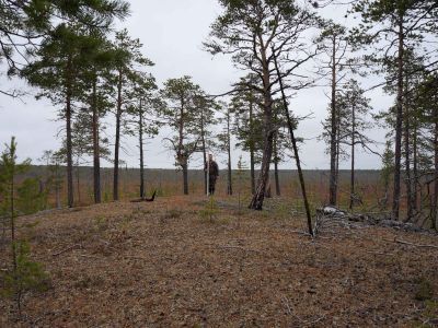 Святилище Сортым-Пим-Кот-Мых