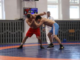 В Якутске выявили победителей турнира по хапсагаю на призы радио «Тэтим»