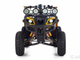 Квадроцикл RAPTOR Max Pro 250 (жёлтый/чёрный) (2024)