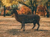 Быханов сад