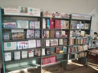 Николевская сельская библиотека