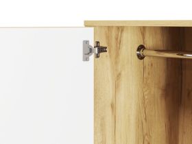 Распашной шкаф Тайрон 3-140x200 Атом