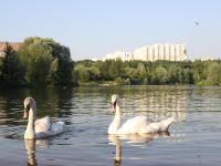 Ландшафтный парк «Митино»