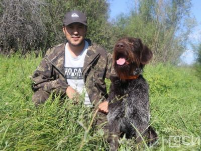 Испытания подружейных собак стартуют завтра на зелёном лугу возле Якутска