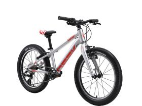 Детский велосипед Stark Geek 20, год 2024, цвет Серый-Красный